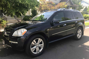 Winter Wonderland in Las Vegas: Top Experiences to Try