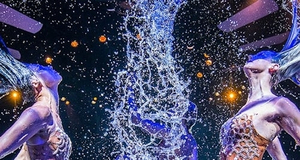 Las Vegas: WOW - The Vegas Spectacular Show
