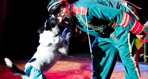 V Theater Las Vegas: Popovich Comedy Pet Theater