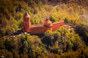 Explore the Baltics: Riga- Tallinn / Tallinn - Riga Daytrip