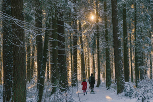 From Riga: Explore Latvian Nature With a Local Photographer