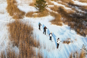 From Riga: Forest Ski Adventure with Equipment