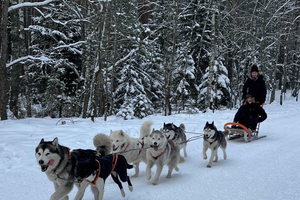 Vanuit Riga: Husky sleeën of Wheel Kart Tour