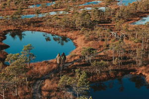 From Riga: Ķemeri Bogshoeing & Jūrmala, Morning Nature Walk