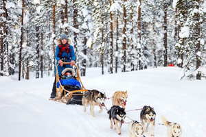 Vanuit Riga: langste husky sleerit van 40 minuten en balsemproeverij