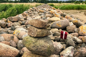 From Riga: Pärnu Day Trip – 2 Countries Seaside Experience