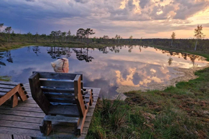 Jurmala: Kemeri Nationaal Park Zonsondergang Trip