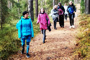 Kemerin kansallispuisto Vaellusreitti (16 km)