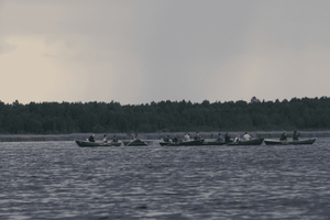 Lake Kaņieris: Birdwatching Rowboat Tour with Ornithologist