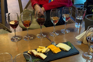 Riga: Electric Car Tour with Wine and Cheese Tasting