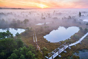 Riga: Ķemeri Sunrise Tour with Breakfast (Group or Private)