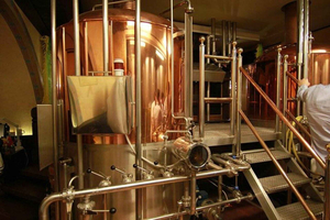 Riga: privé-brouwerijtour en lokale bierproeverij