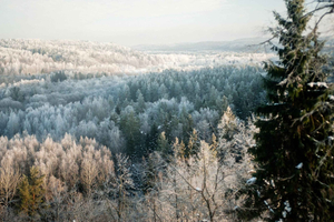 Sigulda: Walk in Gauja National Park with Photoghrapher