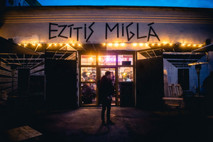Ezītis miglā