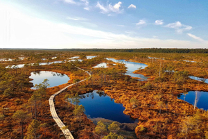 Riga: Das Beste des Kemeri Nationalparks an einem Tag