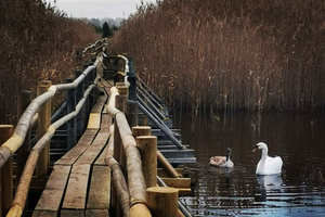 Latvia Winter Festivals: Join the Joyous Celebrations