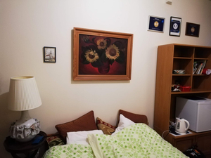 Guest room in Old Town