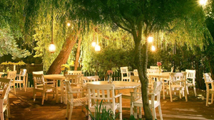 Panama Food Garden