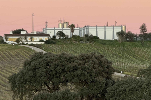 Estremoz, Alentejo, Portugali: Viinikierros ja viininmaistelu