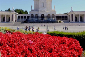 From Lisbon - Private Car Tour to Fátima and Mira de Aires