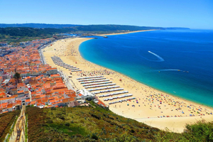 From Lisbon - Private Transfer to Porto with City Stops