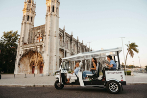 Private City Tour by Eco Tuk Tuk