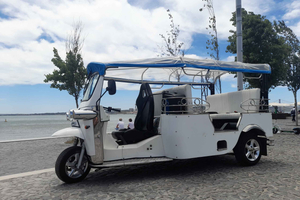 Lisboa: Tour privado en Tuk-Tuk ecológico durante 2 horas