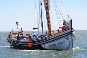 Lisbon Traditional Boats - Express Cruise - 45min