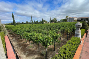 Lisbon:Tour to Bacalhoa Farm with Wine Tasting & TileFactory