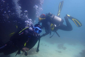 Try Dive in Arrábida Marine Reserve Setubal Sesimbra