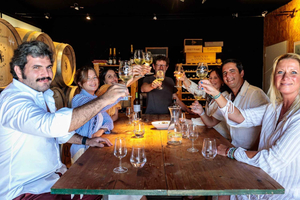 Lisboa: Excursão Matinal a Vinhedos e Degustação de Vinhos