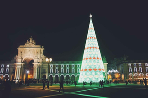 Private Christmas Lights Tour by Eco Tuk Tuk