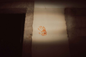 Lisbona: tour a piedi tra storie di crimini veri