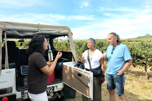 Winery, Tastings & 4x4 Vineyards: Half-Day Trip from Lisbon