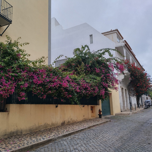 Auristela´s Hostel