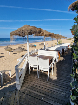 Cabana Beach Bar