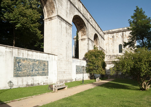 Casa Amora