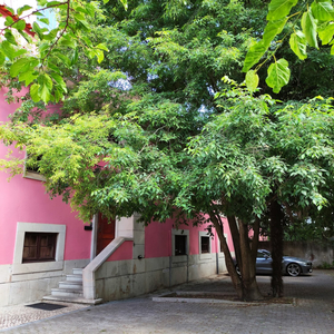 Le Jardin