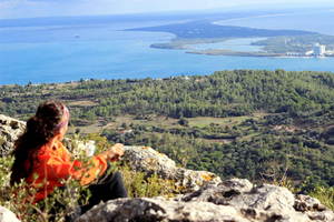 The Ultimate Guide to Lisbon's Fall Foliage