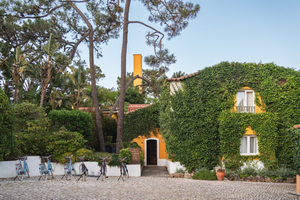 Longevity Clinic Cascais