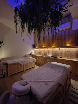 TERRA HEAL · Massage & Holistic Spa Lisbon