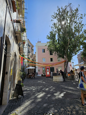 Trigueiros Terrace