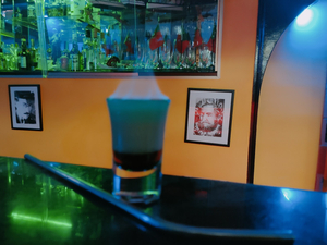 York Bar
