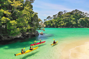 Abel Tasman: kajaktocht langs stranden, baaien en zeehonden met boottocht