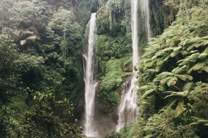 Beyond the Waterfalls: Senaru Village Life & Tiu Kelep Walk