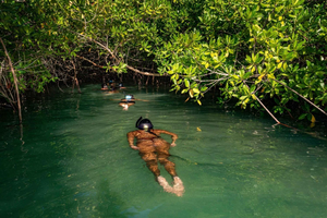 Bonaire: tour di 2 ore in kayak e snorkeling tra le mangrovie