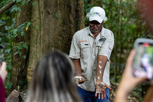 Cairns: Daintree Rainforest och Mossman Gorge Tour