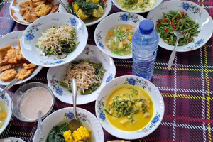 Cooking Class & Benang Kelambu Waterfall with Female Guide