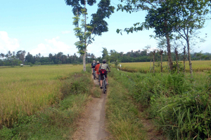 Countryside Bike Ride to Golong Village and Lingsar Temple