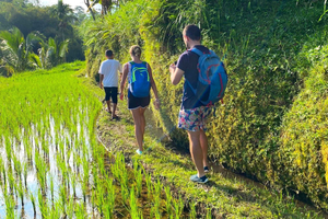 Exclusive Tetebatu: Waterfall, Rice Fields, Monkey & Weaving